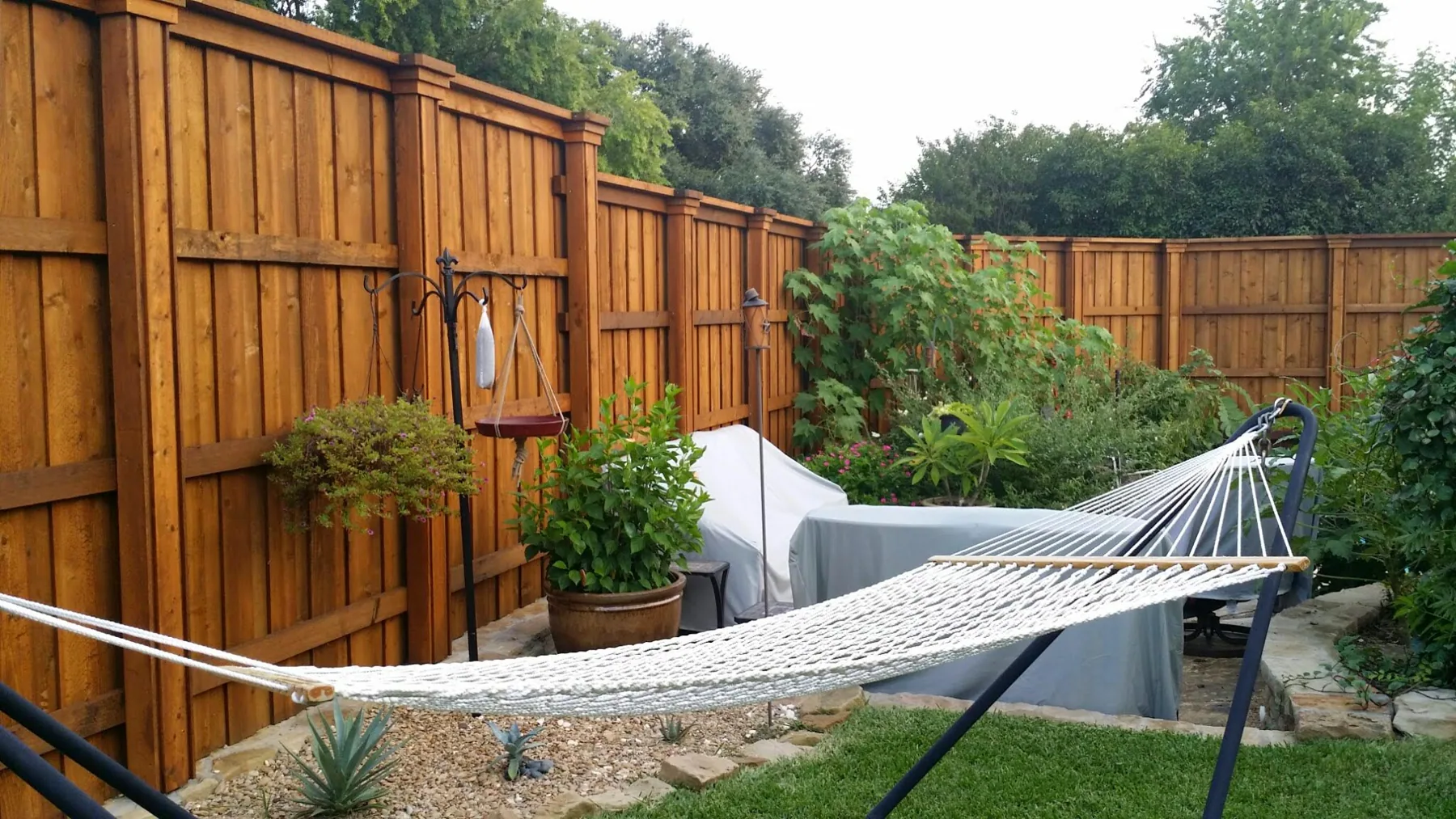 Cedar fence surrounding a landscaped backyard